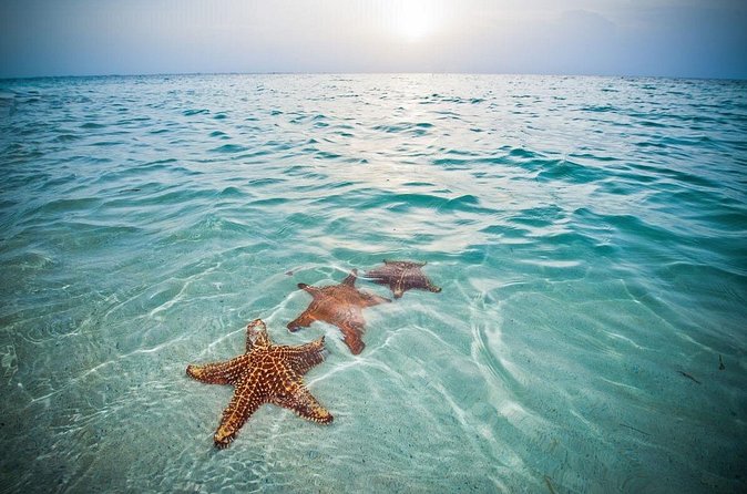 Private Full Day Charter - Stingray City, Starfish Point, Kaibo & Snorkeling - Kaibo and the value of a flexible route
