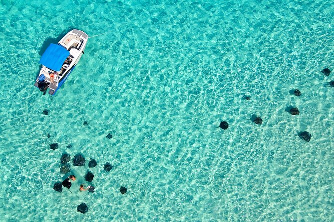 Private, Guided Boat Charters in The Cayman Islands - Meeting the captain at Forum Lane