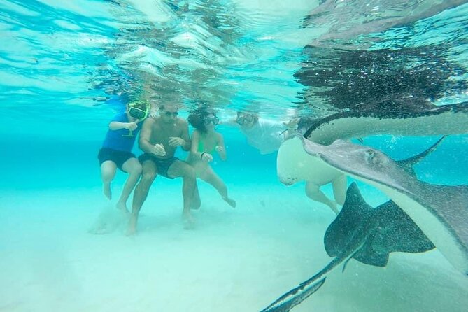 Private Half Day Boat Tour, 3 locations of your choice - Four hours gives you room to set the pace