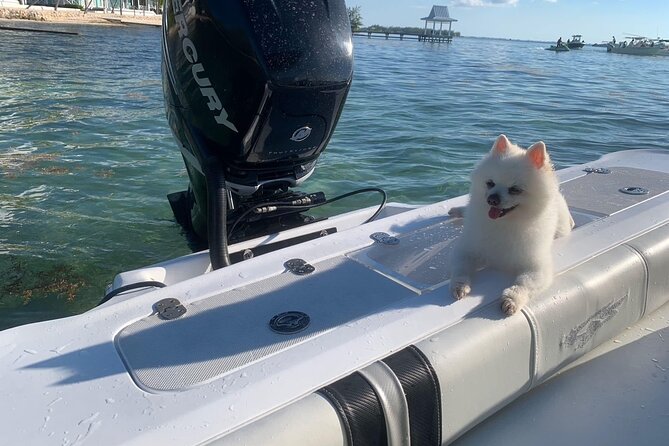 Private Half Day Boat Tour, 3 locations of your choice - Is $800 a fair price for a private boat?