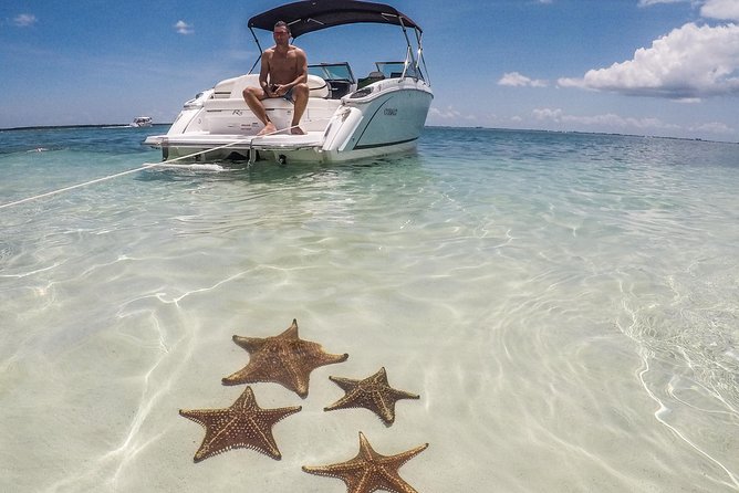 Private, luxury, custom charters to Stingray City, Snorkeling & More - A private way to see Stingray City