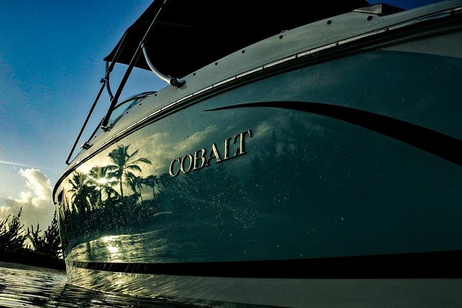 Private, luxury, custom charters to Stingray City, Snorkeling & More - Bio Bay for an evening on the water