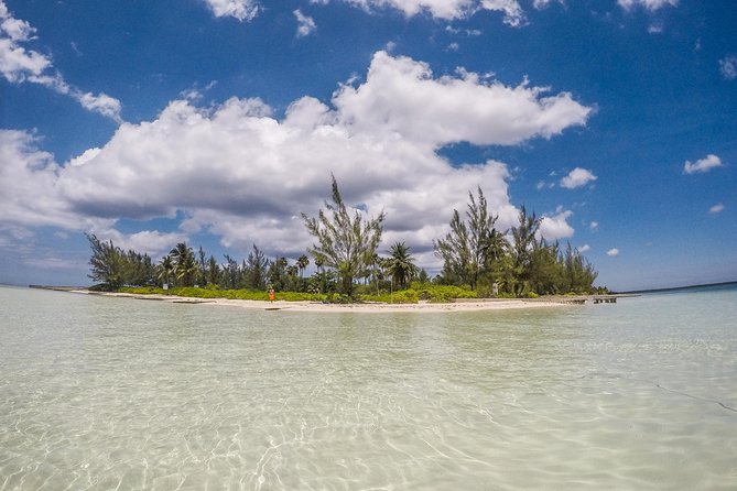 Private, luxury, custom charters to Stingray City, Snorkeling & More - Stingray City and the Southern Stingrays