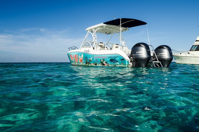 Private Stingray City Snorkeling and BioBay Charter for 10 Guests - Reef snorkeling and the private boat advantage