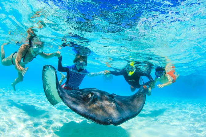 Private Stingray City Snorkeling and BioBay Charter for 6 Guests - Starfish Point offers a gentle first stop