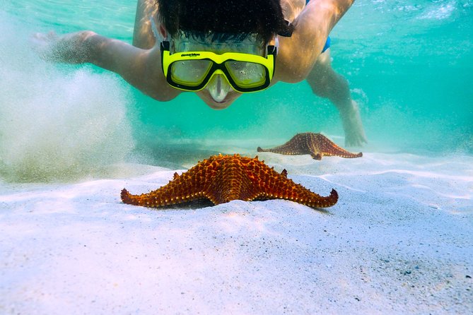 Private Stingray City Snorkeling and BioBay Charter for 6 Guests - Who gets the best value from $2,000