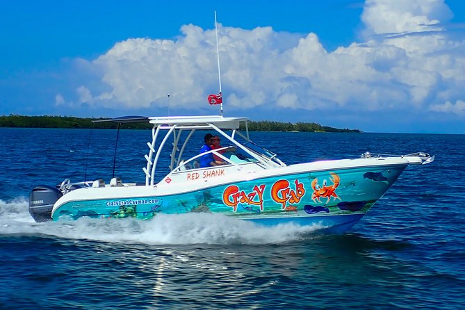 Private Stingray City Snorkeling and BioBay Charter for 6 Guests - Timing, weather, and the cancellation risk