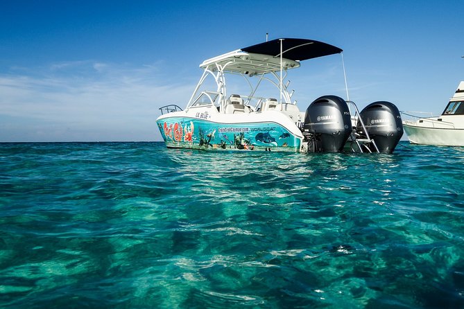 Private Stingray City Snorkeling and BioBay Charter for 6 Guests - Is this private Grand Cayman charter right for you?