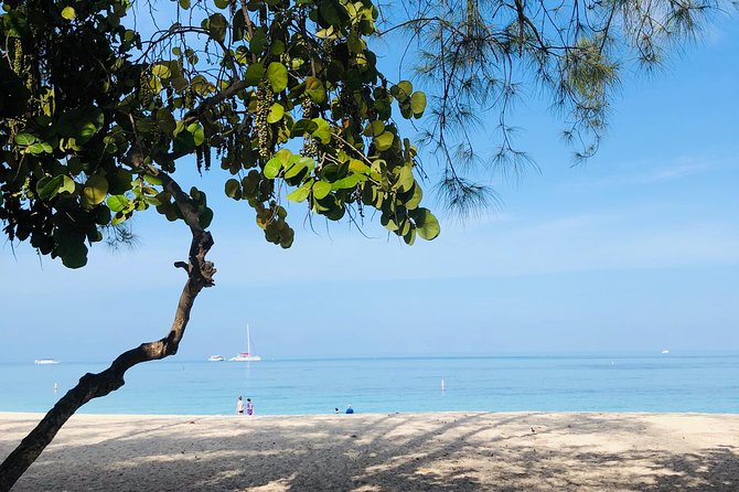 Private Swim Lesson or Triathlon Training on Seven Mile Beach! - Why the Caribbean setting is more than a pretty backdrop