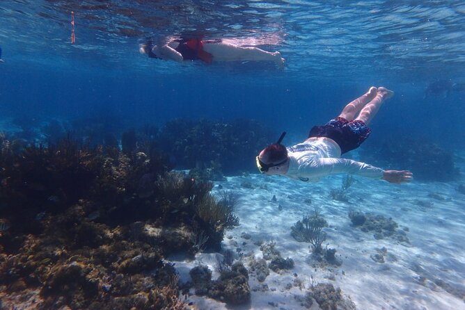 Private Tour to Stingray City & Snorkeling at Coral Gardens - Why this private Grand Cayman charter feels different