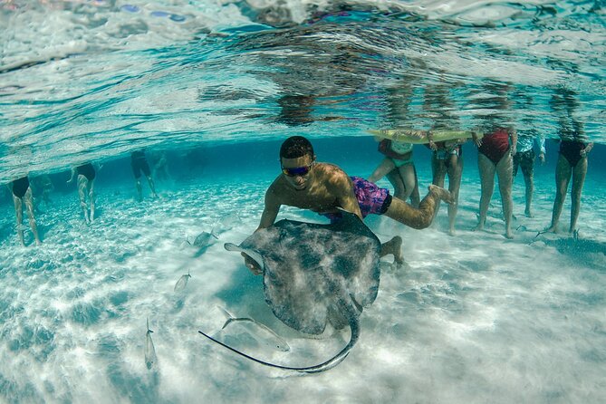 Private Yacht 48 ft Sting Ray City, Snorkel & Starfish Beach - Mangroves, Rum Point, and a flexible route
