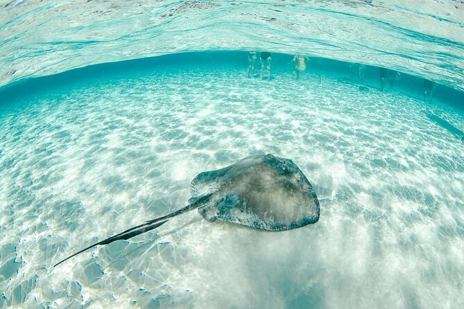 Private Yacht 48 ft Sting Ray City, Snorkel & Starfish Beach - Food, drinks, comfort, and what to bring