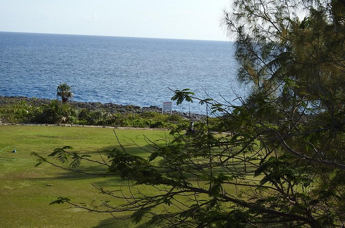 Queen Elizabeth II Botanic Park and Pedro St James Castle Tour in Grand Cayman - What the best guides add