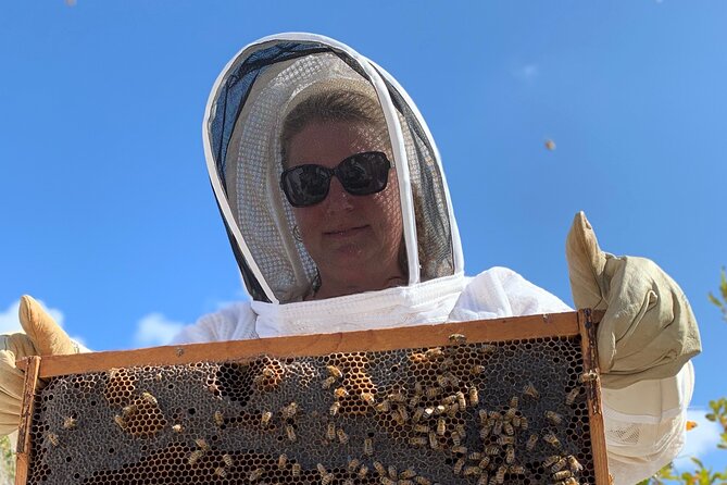 Reagan’s Honey Beekeeping Adventure - Walking through the woodland and around the hives