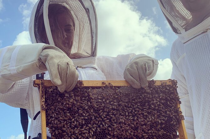 Reagan’s Honey Beekeeping Adventure - The honey tasting is small but memorable