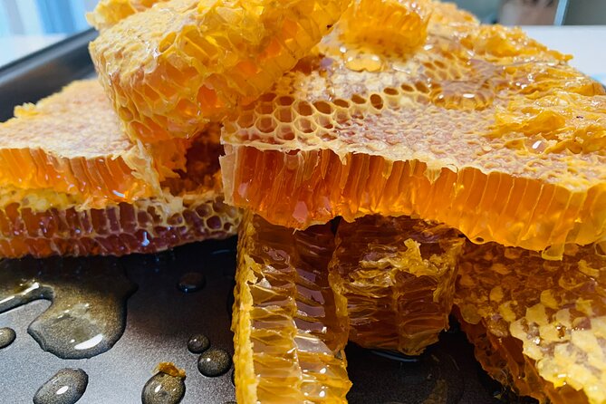 Reagan’s Honey Beekeeping Adventure - Putting on the suit and entering the apiary