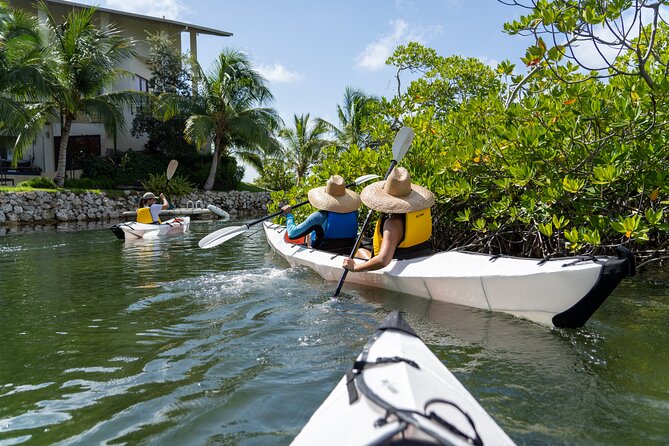 Small Group Glass Bottom Kayak Adventure- Cayman Islands - Starting at Cayman Islands Yacht Club