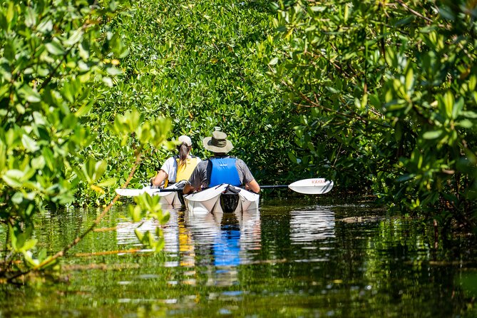 Small Group Glass Bottom Kayak Adventure- Cayman Islands - Ryan and the value of a naturalist guide