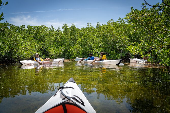 Small Group Glass Bottom Kayak Adventure- Cayman Islands - Paddling into the red mangrove waterways