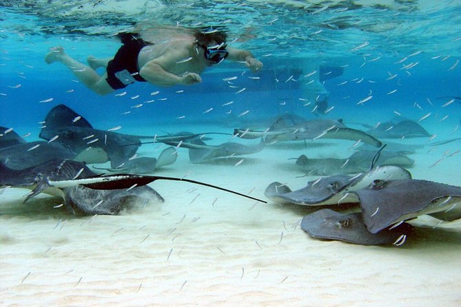 Starfish Point, Stingray City & Coral Garden (3-STOP Adventure) - Quick take: three water stops, one practical half-day