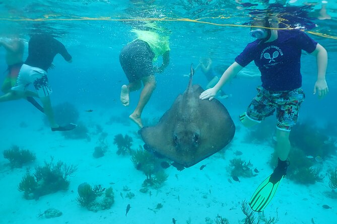 Starfish Point, Stingray City & Coral Garden (3-STOP Adventure) - Why this Grand Cayman boat trip works