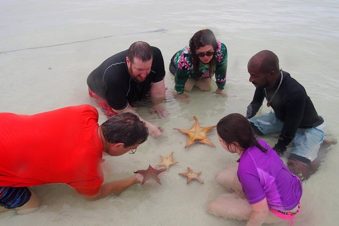 Starfish Point, Stingray City & Coral Garden (3-STOP Adventure) - Stop two: Starfish Point and a quiet beach pause
