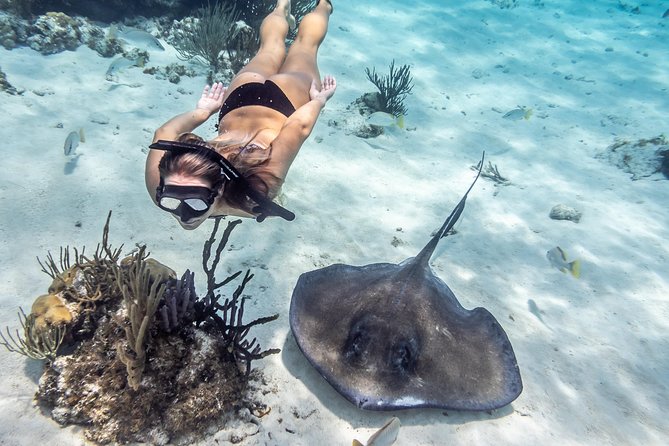 Starfish Point, Stingray City-Sandbar & Coral Gardens - How the crew shapes the morning