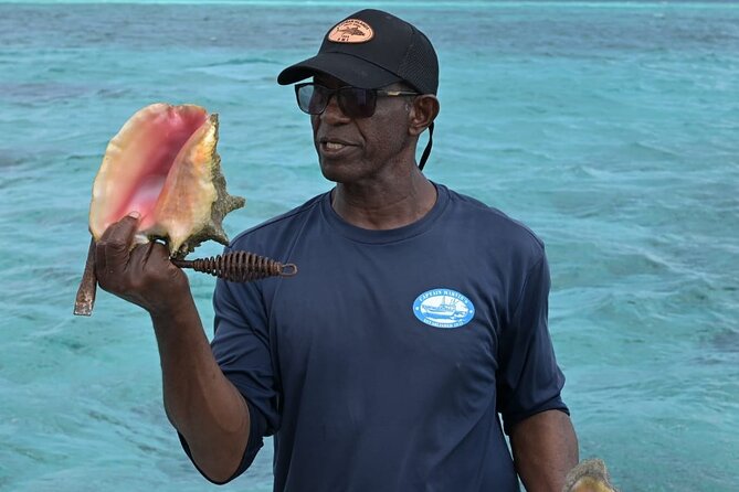 Stingray City and Snorkel Tour With Lunch - Should you book the Stingray City and Snorkel Tour?