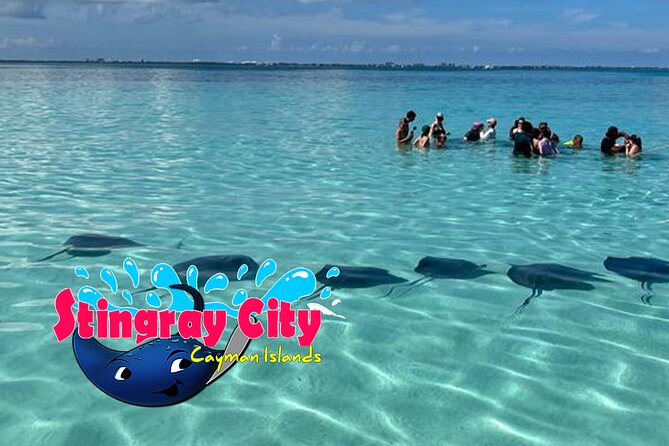 Stingray City and Starfish Experience with Coral Reef Snorkeling - The crew makes the difference