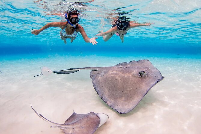 Stingray City and Starfish Experience with Coral Reef Snorkeling - Timing, weather, and practical limits