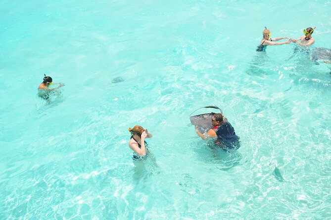 Stingray City, Coral Gardens & Frankie's Local Lunch & Juice - Who will enjoy this four-hour outing