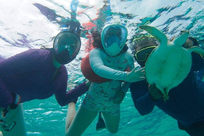 Stingray City Experience Plus One Snorkeling Stop - How pickup works from George Town and Seven Mile Beach