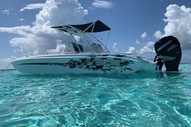 Stingray City Experience Plus Two Snorkeling spots Private Boat - What the three to four hours look like