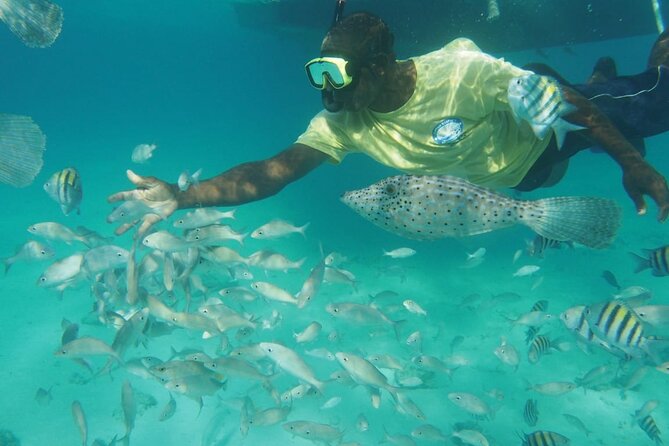 Stingray City Experience Plus Two Snorkeling Stops on Grand Cayman - Hotel pickup is useful, with limits