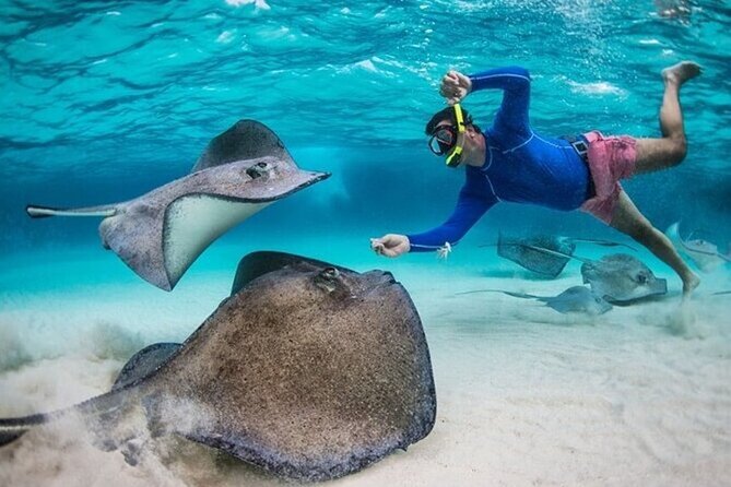 Stingray City Sandbar, Coral Gardens Snorkeling & Star Fish Point - Starfish Point is pretty, shallow, and brief
