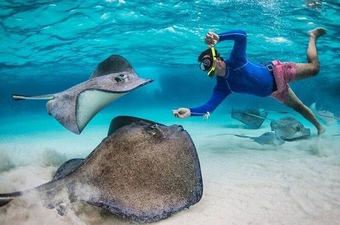 Stingray City Sandbar, Coral Gardens Snorkeling & Star Fish Point - Who will enjoy this Grand Cayman outing
