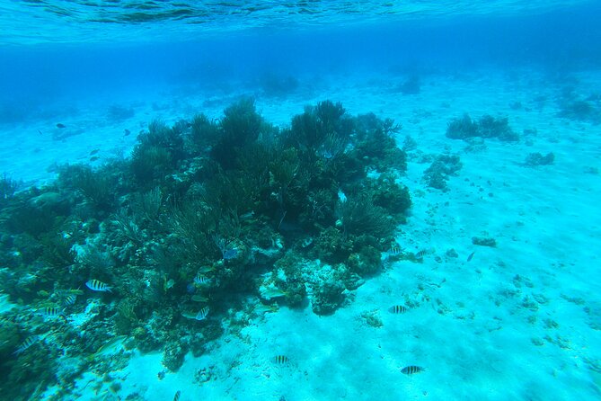 Stingray City, Star fish Point and Snorkeling Private Boat Tour - Lunch at Rum Point and the value of time