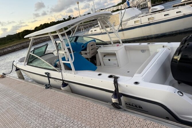 Stingray City, Star fish Point and Snorkeling Private Boat Tour - What the $725 price really means