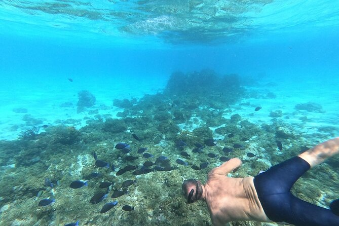 Stingray City, Star fish Point and Snorkeling Private Boat Tour - Weather, timing, and practical planning