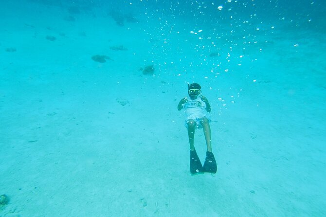 StingrayCity ,Coral Garden & Starfish Tour. - The crew can make or break the outing