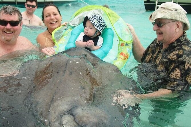 Stingrays, Starfish and Snorkeling Tour - A new motor catamaran with practical comforts