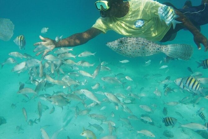 Stingrays, Starfish and Snorkeling Tour - Stingray City Sandbar is the big payoff