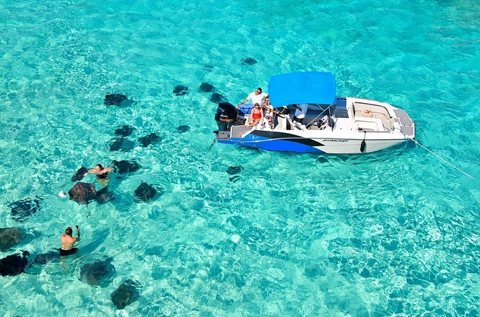 Sunrise at Stingray City, Private Tour - What makes the private format worth $500