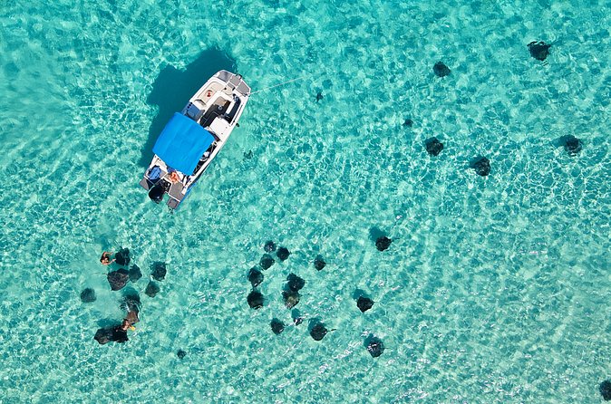 Sunrise at Stingray City, Private Tour - What to know before you reserve