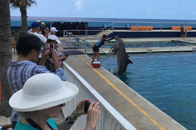 West Bay Sightseeing Tour Plus Seven Mile Beach Visit - Meeting at the North Terminal at 8:40 AM